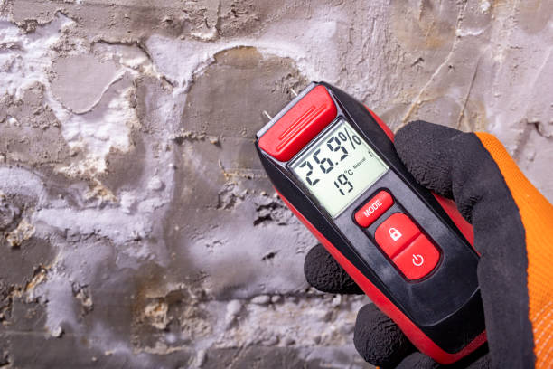 Best Certified Mold Removal  in Douglas, AL