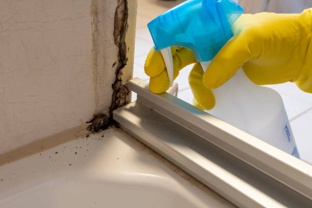 Best Crawl Space Mold Removal  in Douglas, AL