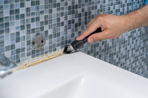 Best Affordable Mold Removal  in Douglas, AL