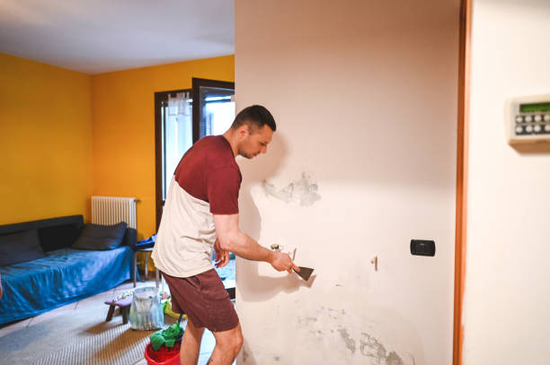 Certified Mold Removal in Douglas, AL